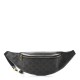 CELINE Triomphe Canvas Belt Bag Black