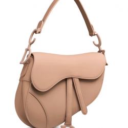 DIOR Saddle medium calfskin bag